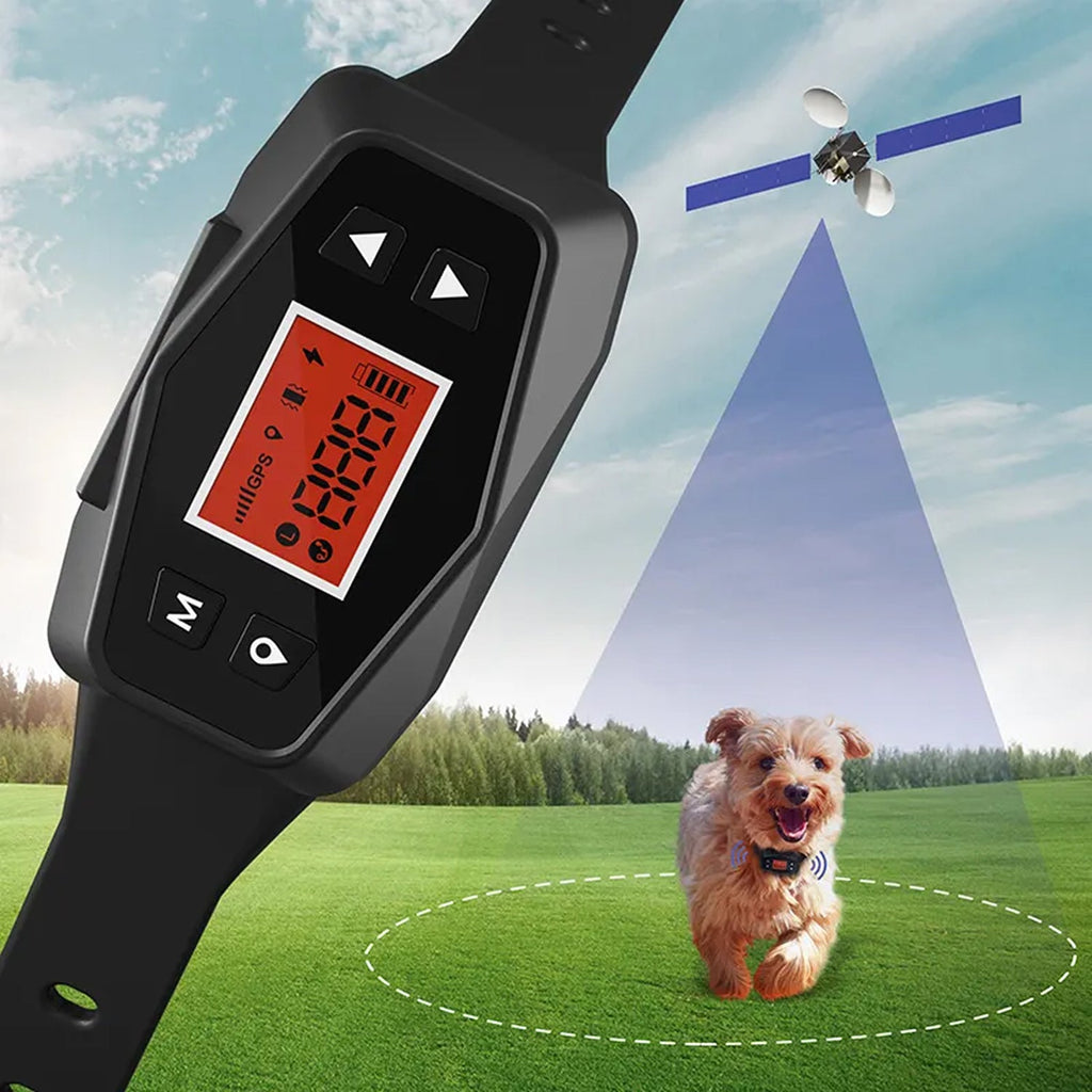 HavinFen GPS Chiens