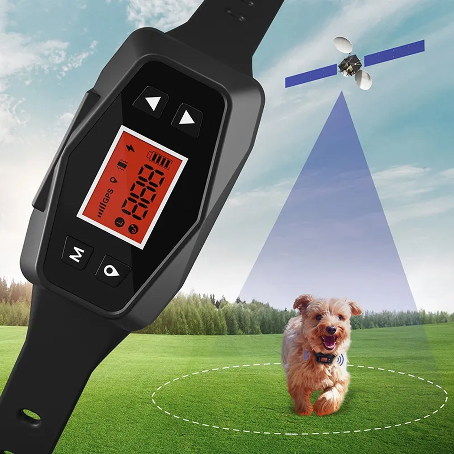 HavinFen GPS Chiens