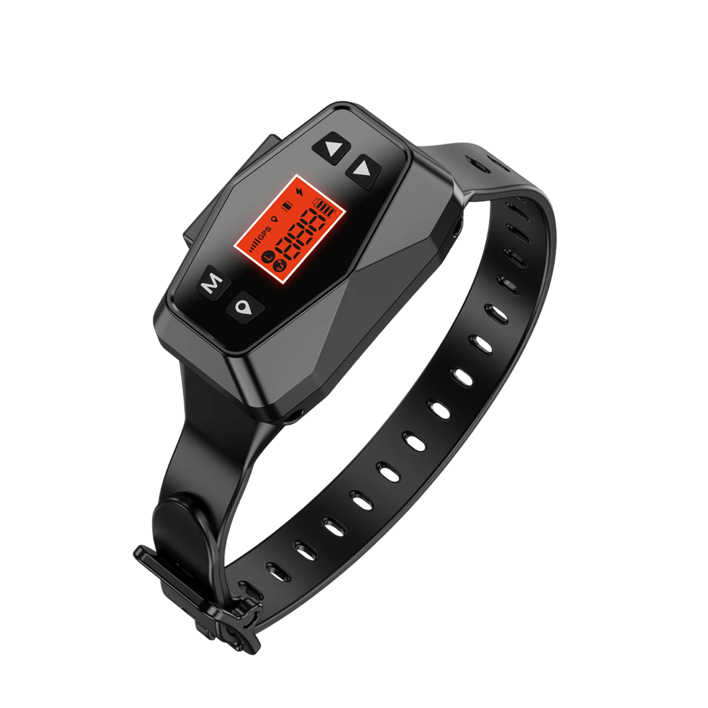 HavinFen GPS pour Chiens