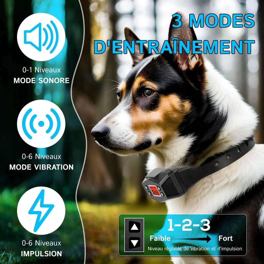 HavinFen GPS pour Chiens 3 modes