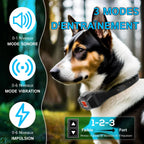 HavinFen GPS pour Chiens 3 modes