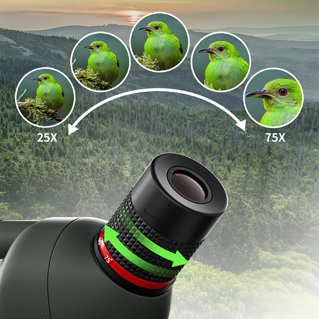 Lentille de la Korons Longue-Vue avec options de grossissement et illustrations d’oiseaux en environnement forestier