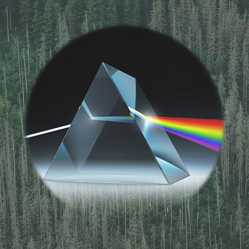 Prisme triangulaire avec dispersion arc-en-ciel sur fond forestier