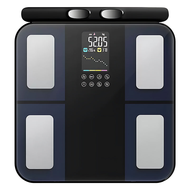SilvanHome Balance vue 4