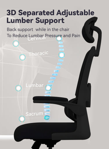 Silhouette d’une Velnotra Chaise de Bureau Ergonomique avec segments de colonne vertébrale mis en évidence et texte sur le soutien lombaire ajustable 3D séparé.