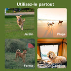 HavinFen GPS pour Chiens partout 