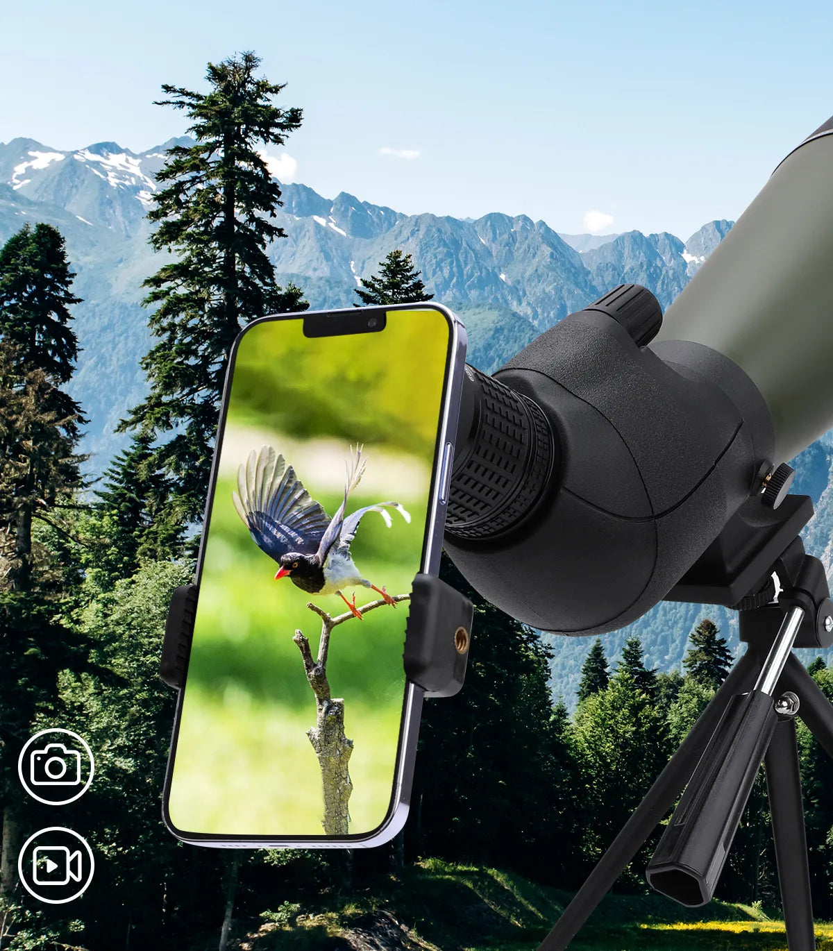 Lentille optique du Télescope Bosco HD-7 avec détails de grossissement et images d’oiseaux sur fond de forêt verte