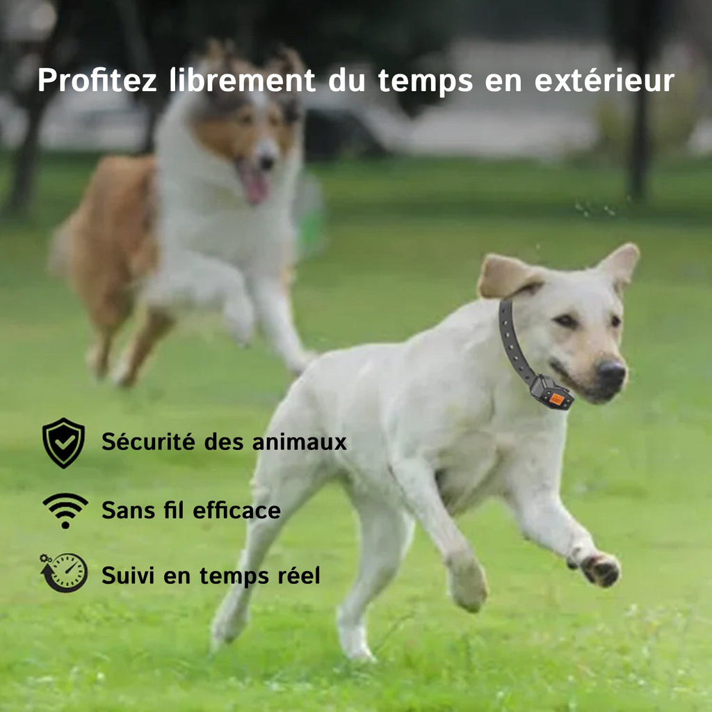 sans HavinFen GPS pour Chiens