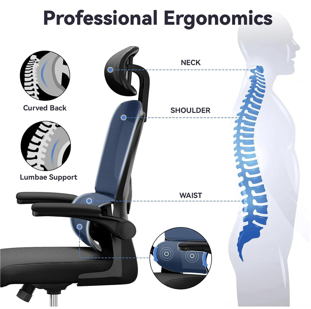 silvanhome Chaise de Bureau Ergonomique avec caractéristiques mises en évidence et silhouette humaine montrant l’alignement de la colonne vertébrale