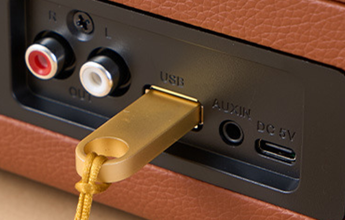 Auryvox VT-80 lecture USB et entrée AUX